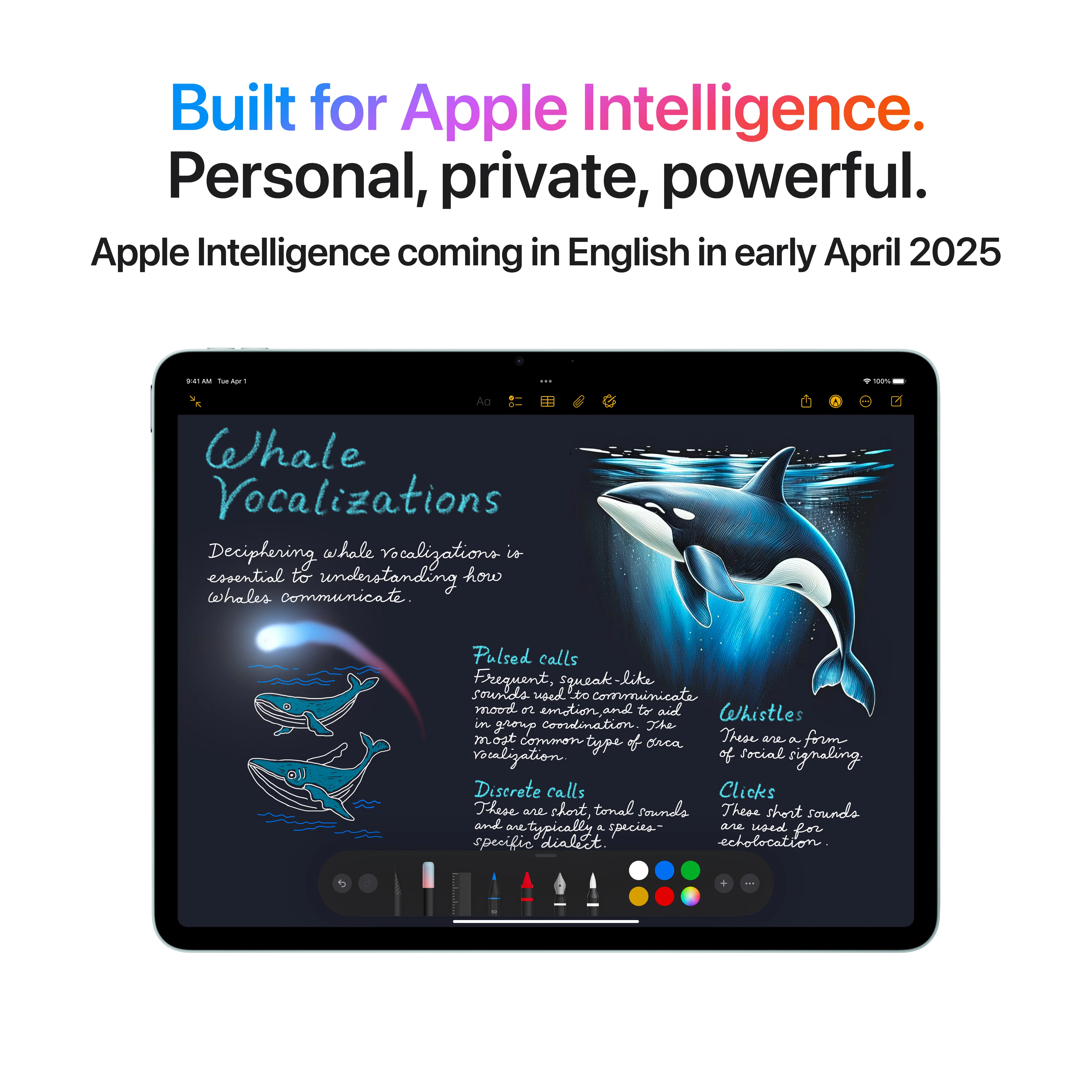 11-inch iPad Air Wi-Fi 1TB - Blue (M3) - Image 5