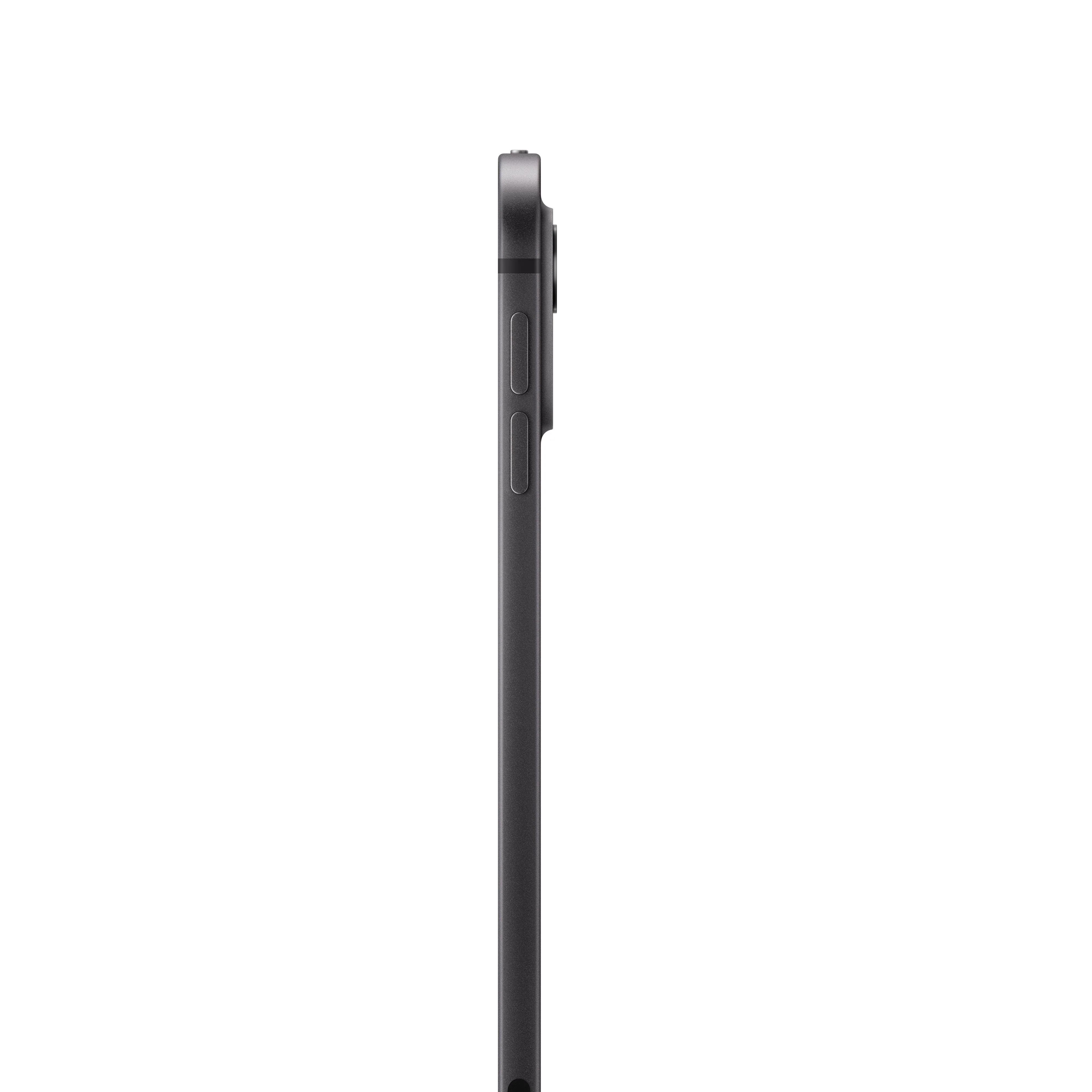 11-inch iPad Pro Wi-Fi 2TB Standard Glass - Space Black (M4) - Image 3