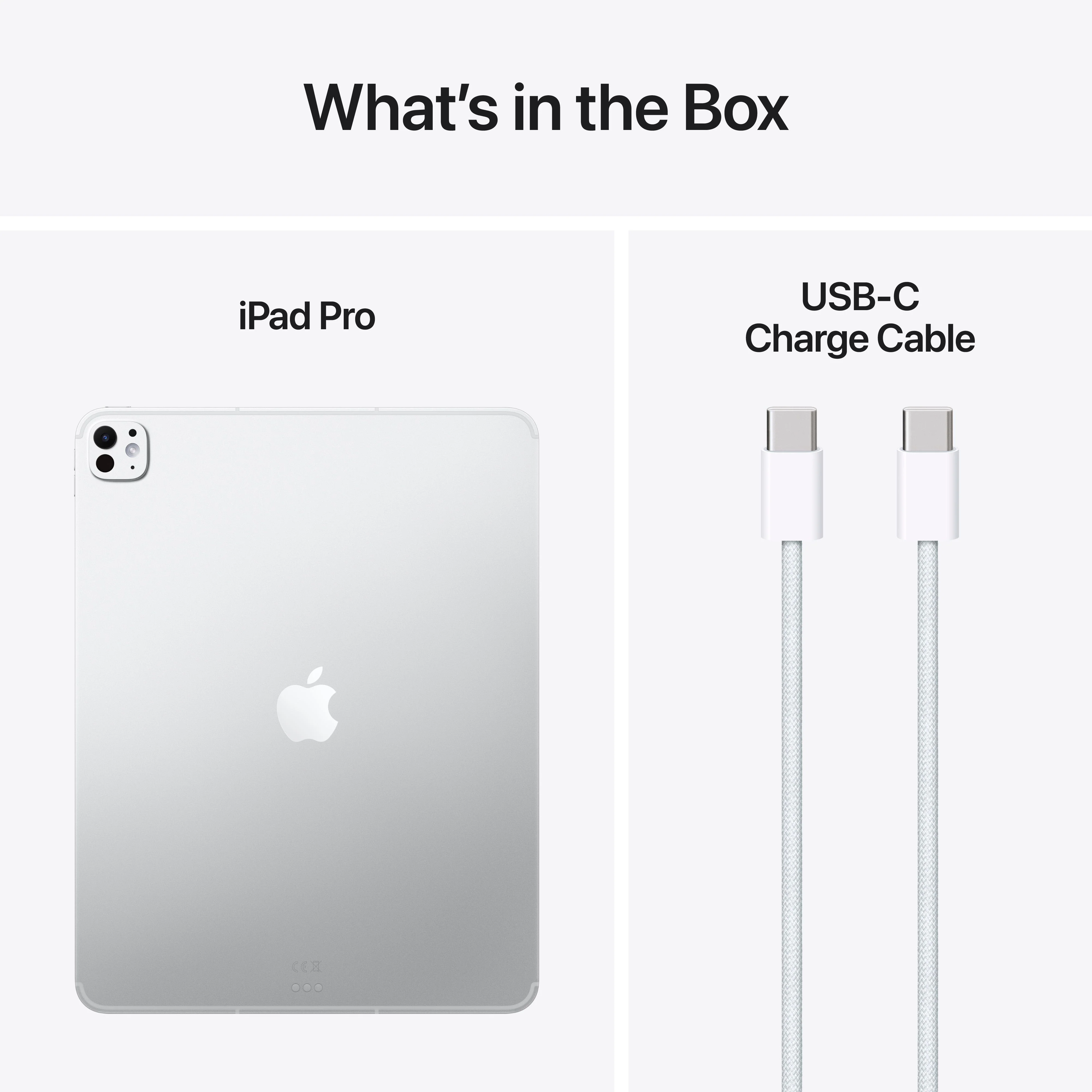 13-inch iPad Pro Wi-Fi + Cellular 256GB Standard Glass - Silver (M5) - Image 9