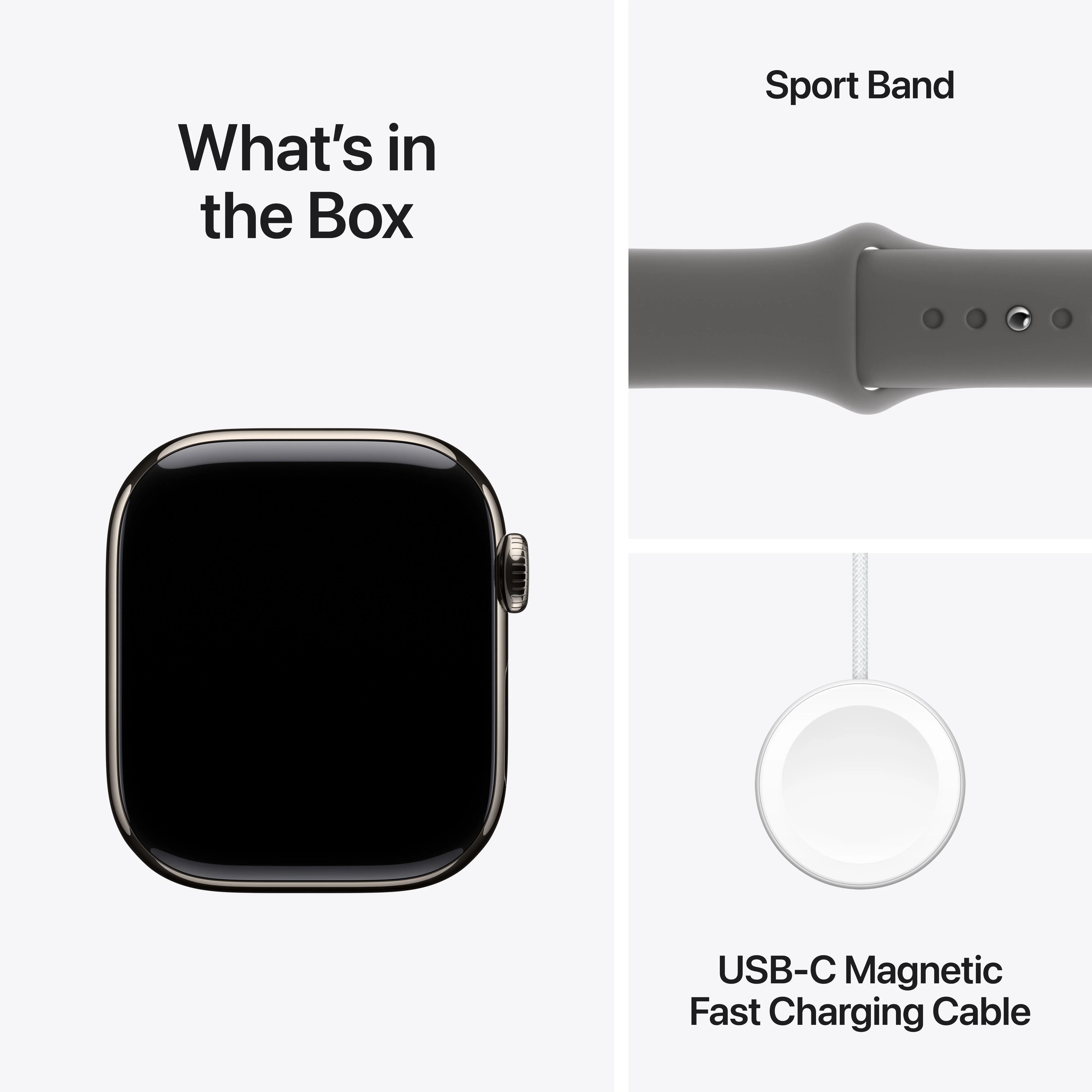 Apple Watch Series 10 GPS + Cellular 42mm Natural Titanium Case with Stone Grey Sport Band - M/L - Image 9