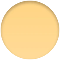 iPhone 14 Plus Silicone Case with MagSafe - Sunglow - Image 6