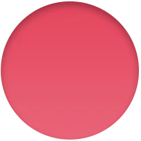 Smart Folio for iPad (10th generation) - Watermelon - Image 2